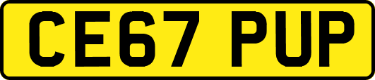 CE67PUP