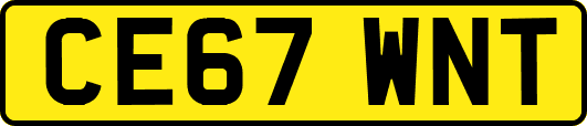 CE67WNT