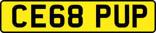 CE68PUP