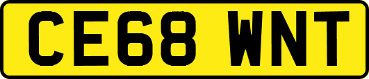 CE68WNT