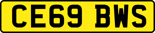 CE69BWS