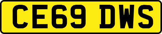 CE69DWS