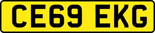 CE69EKG