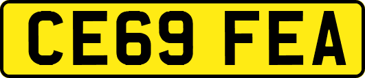 CE69FEA
