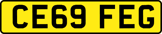 CE69FEG