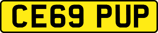 CE69PUP