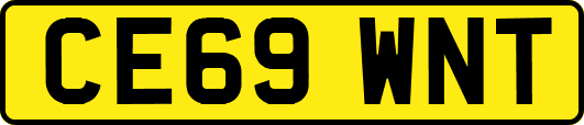 CE69WNT