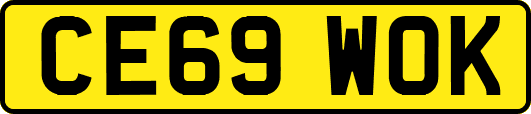 CE69WOK