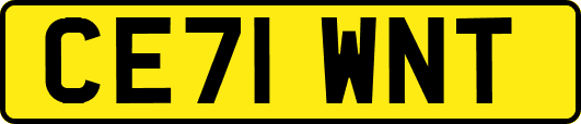 CE71WNT