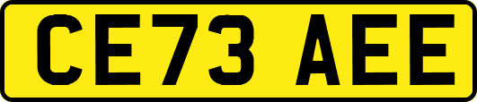 CE73AEE