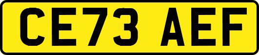 CE73AEF