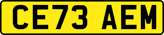 CE73AEM