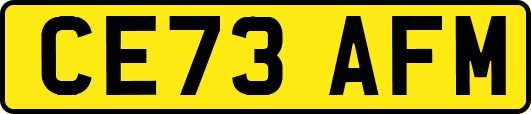 CE73AFM
