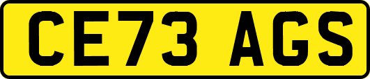 CE73AGS