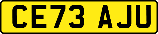 CE73AJU