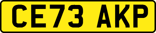 CE73AKP