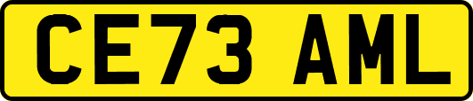 CE73AML