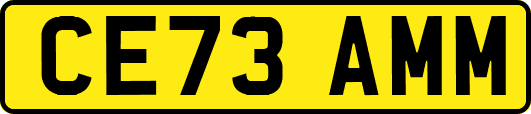 CE73AMM