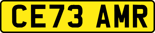 CE73AMR