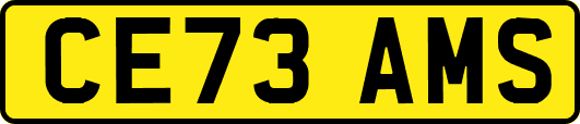 CE73AMS