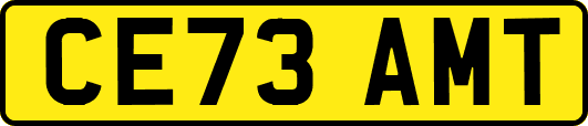 CE73AMT