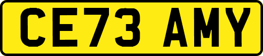 CE73AMY