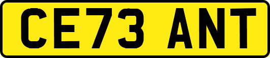 CE73ANT
