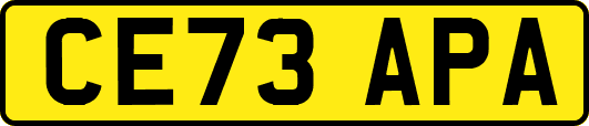 CE73APA