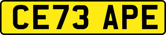 CE73APE