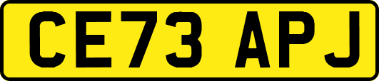 CE73APJ
