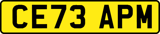 CE73APM