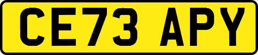 CE73APY