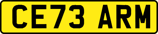 CE73ARM