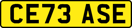 CE73ASE
