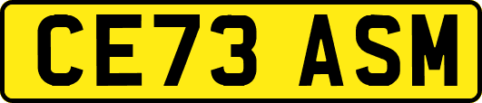 CE73ASM
