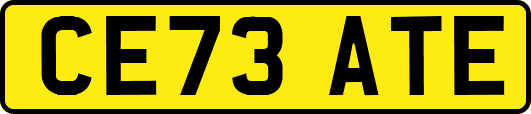 CE73ATE