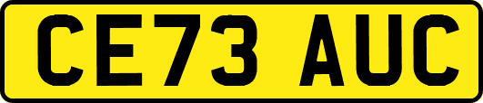 CE73AUC