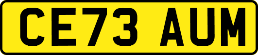 CE73AUM
