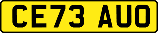 CE73AUO