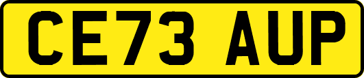 CE73AUP