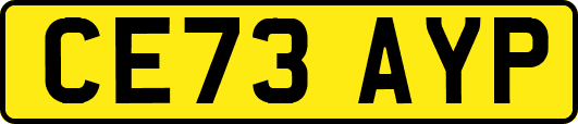 CE73AYP