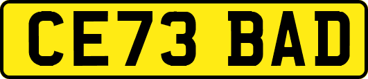 CE73BAD