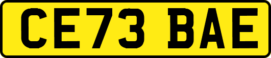 CE73BAE