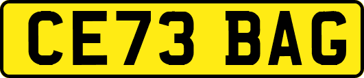 CE73BAG