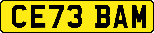CE73BAM