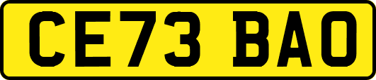 CE73BAO
