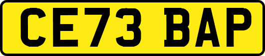 CE73BAP
