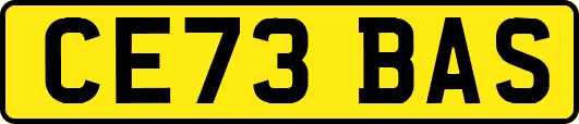 CE73BAS