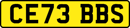 CE73BBS