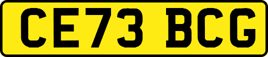 CE73BCG